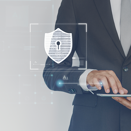 system-security-1-(450×450) system-security-1-(450x450)
